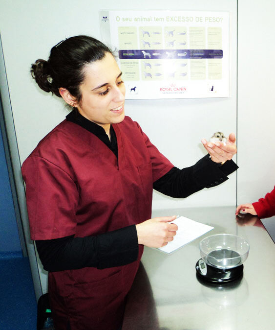 Dra. Inês Cardoso a examinar um pequeno animal